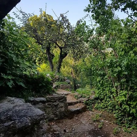 L'agrottu Au Coeur De La Corse * Santa-Lucia-di-Mercurio