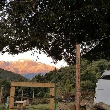 Camping L'agrottu Au Coeur De La Corse *