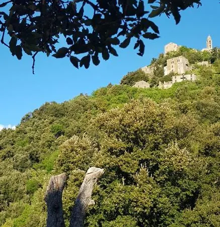 Camping L'agrottu Au Coeur De La Corse
